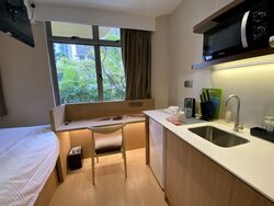Mount Elizabeth Link (D9), Condominium #466085401